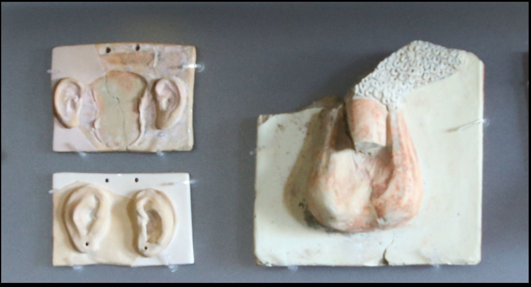 Drei Plaketten auf grauem Hintergrund. Zwei zeigen jeweils ein paar Ohren und eine männliche Geschlechtsteile. Sie stammen aus dem Asklepeion in Korinth.